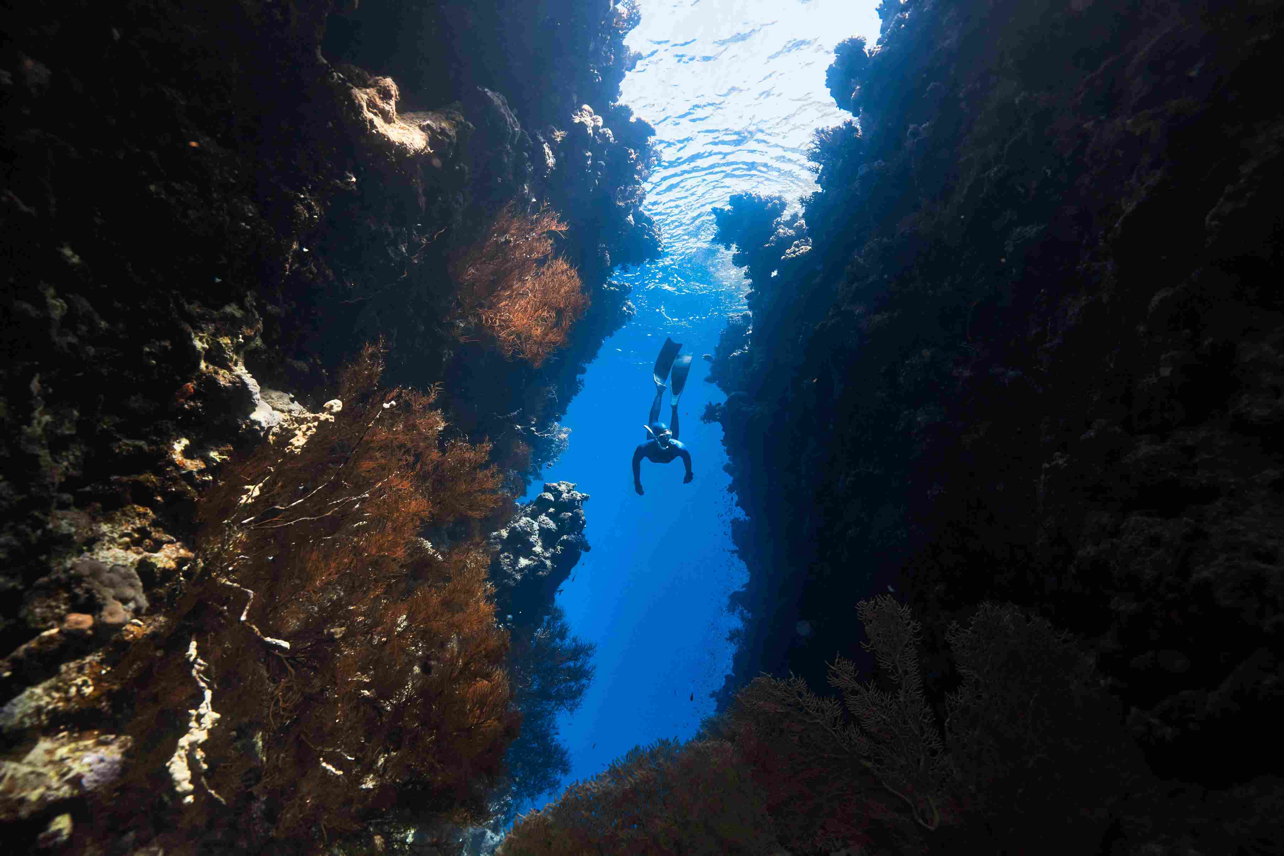 Shallow reef zone around Mabul